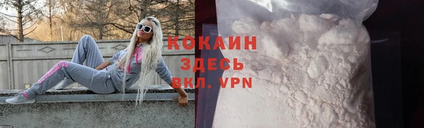 гашик Тутаев