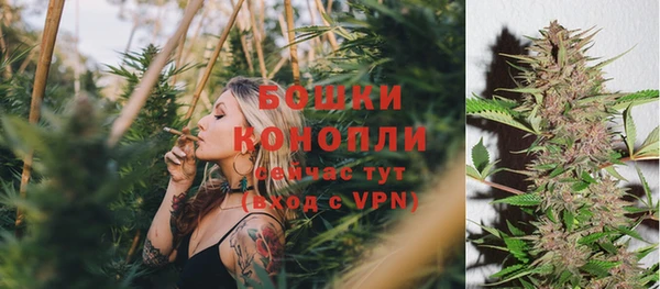 стафф Нефтекумск