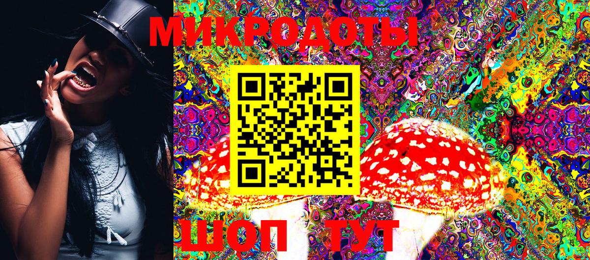 Галлюциногенные грибы Psilocybe Котельники