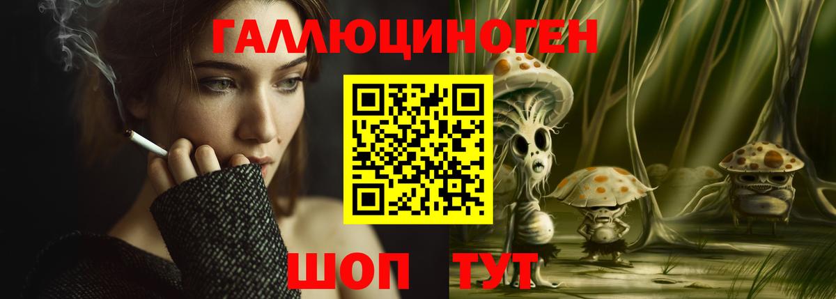 Галлюциногенные грибы Psilocybine cubensis Котельники